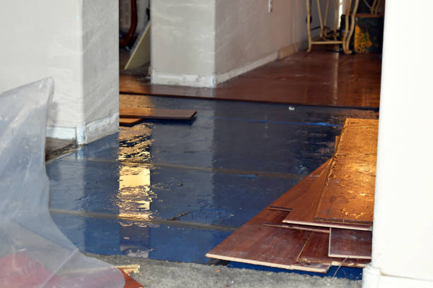 Professional Water Damage Repair technician working in Roosevelt, NY